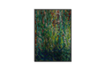 Chlorophyl Träume
