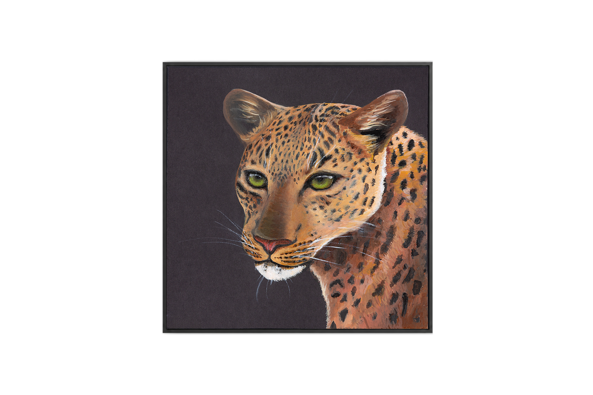 Leopard
