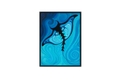 Manta Ray
