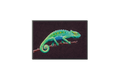 Chameleon