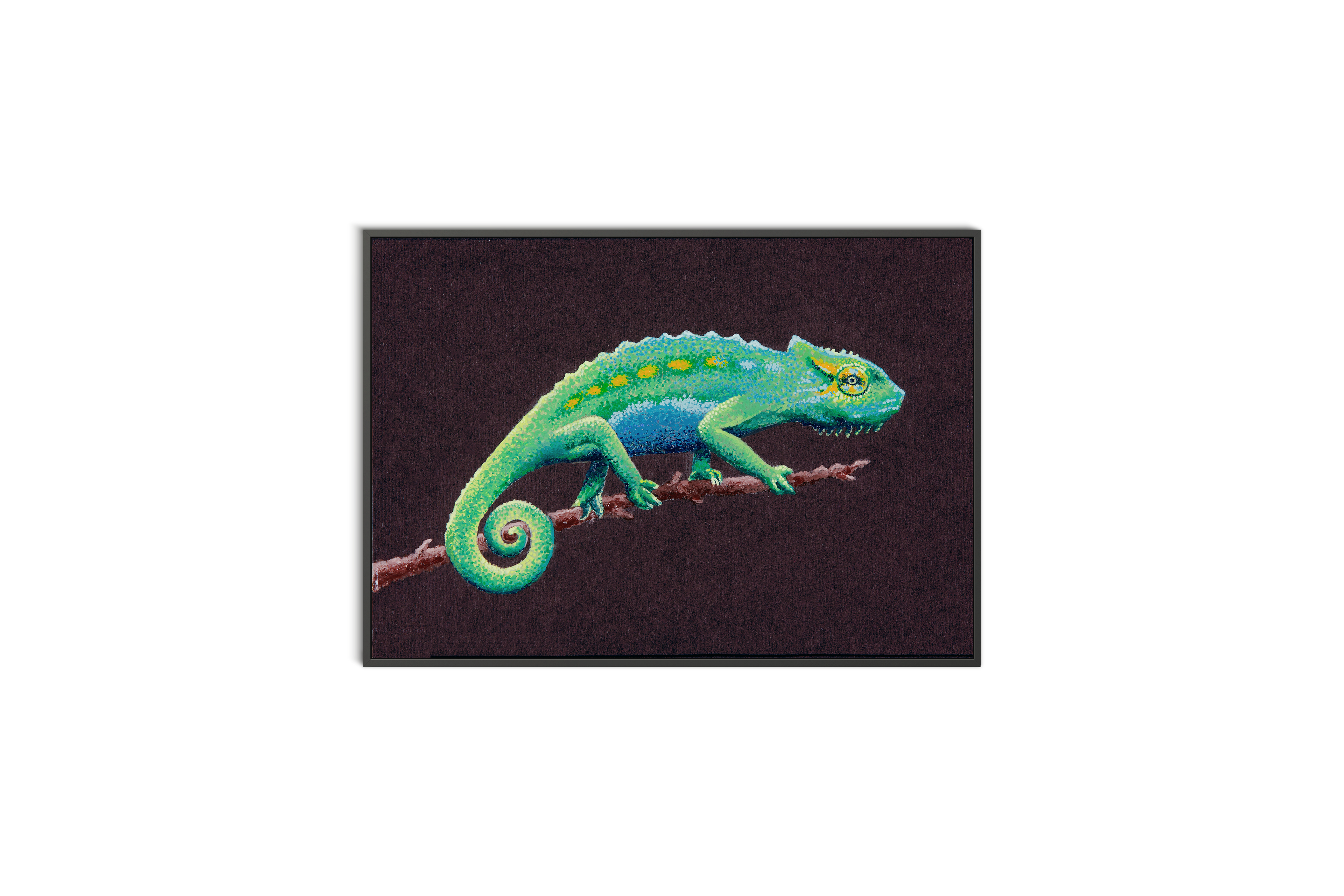 Chameleon